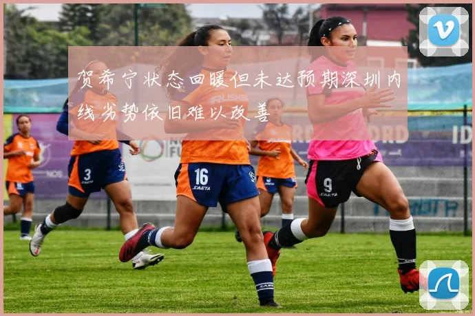 贺希宁状态回暖但未达预期深圳内线劣势依旧难以改善